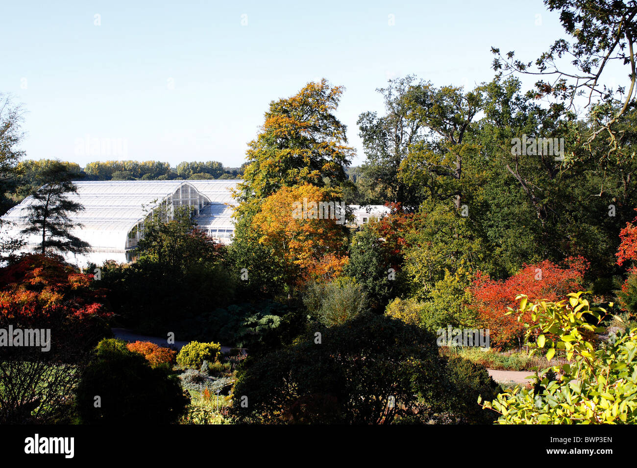 THE COLOURFUL LANDSCAPE OF RHS WISLEY IN AUTUMN. UK. Stock Photo