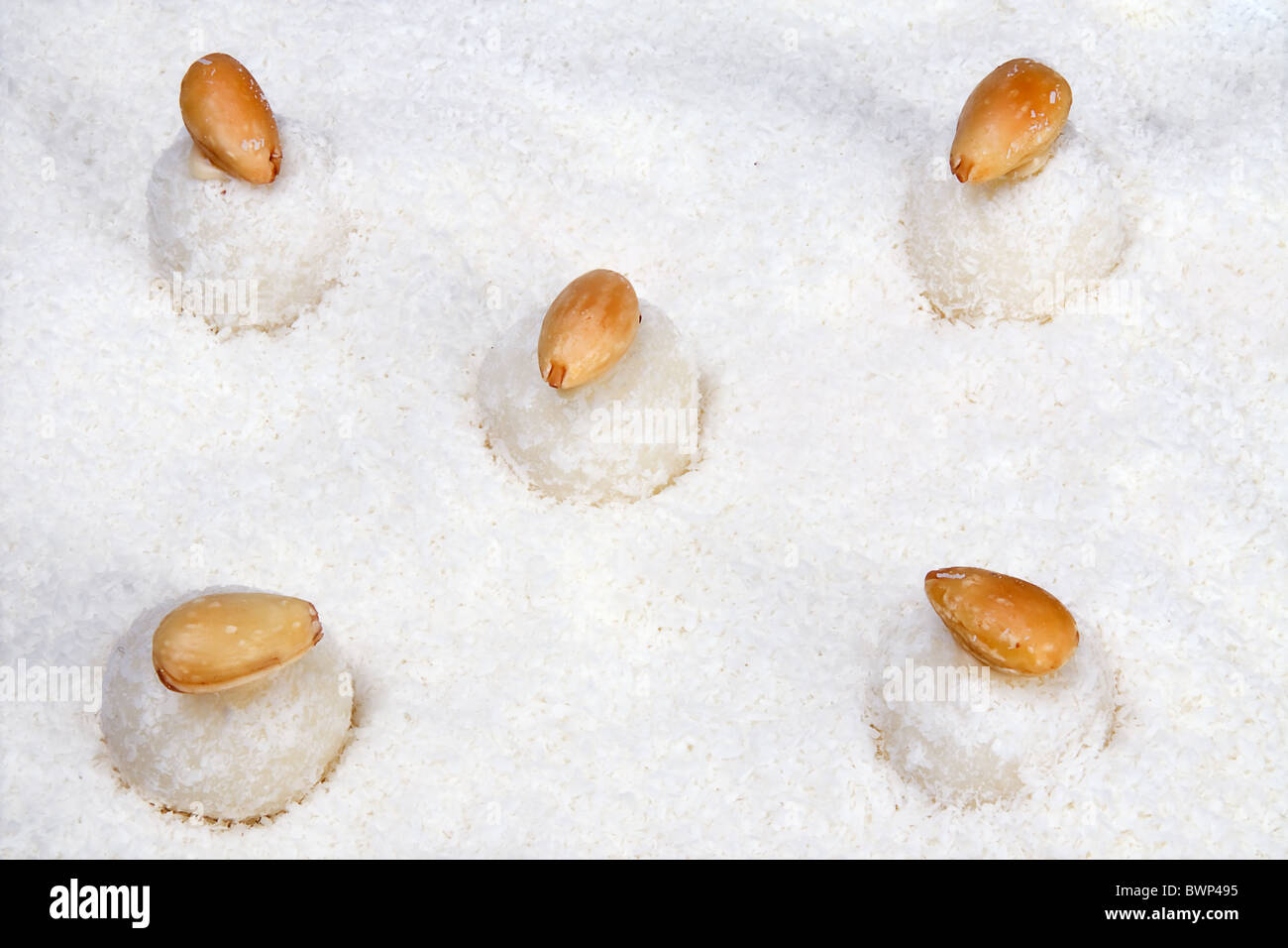 coconut balls with nuts Stock Photo Alamy