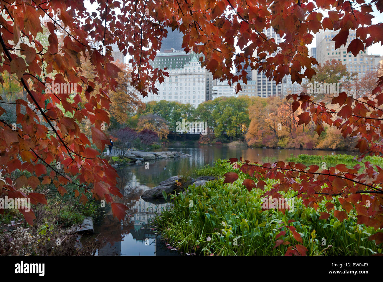 Autumn with a view of Central Park South in the distance and the Plaza ...