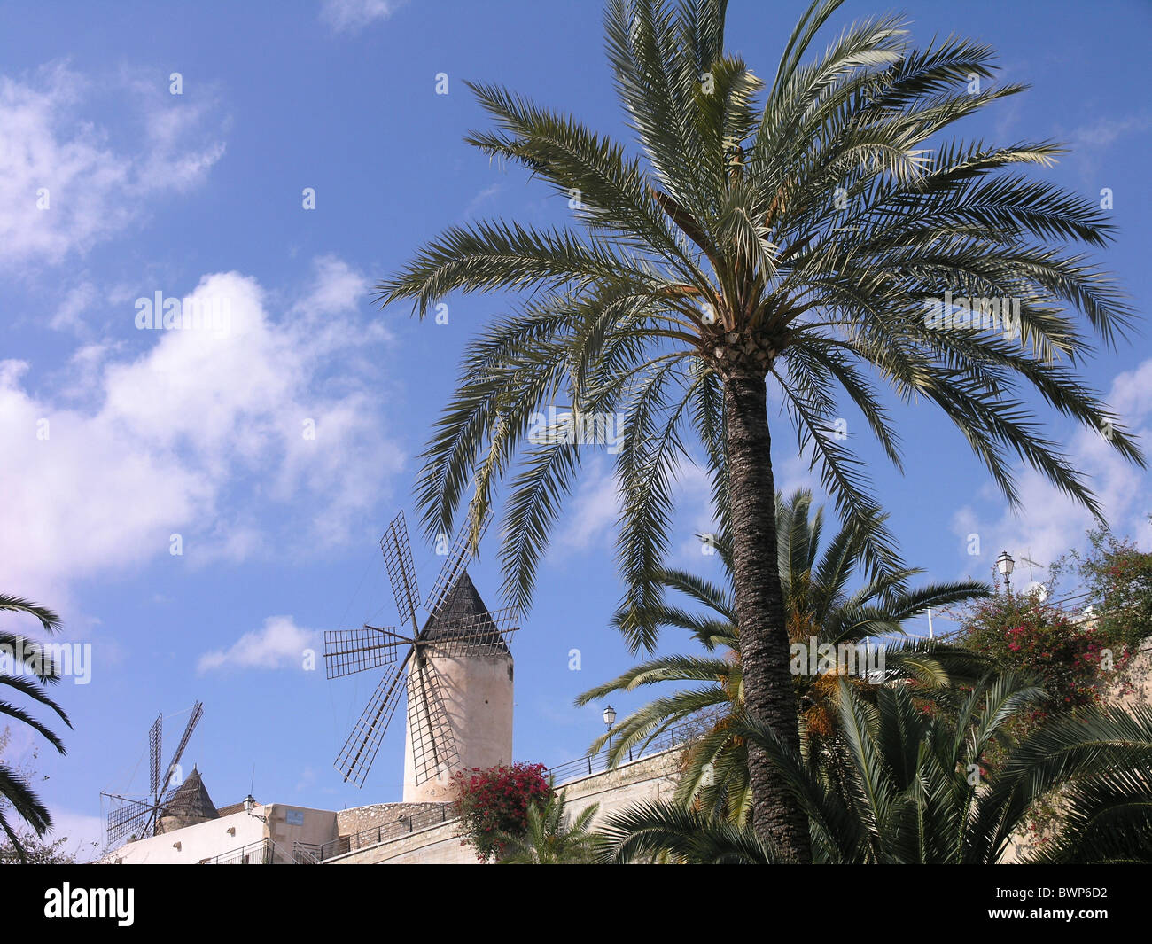Dating Mallorca Spania