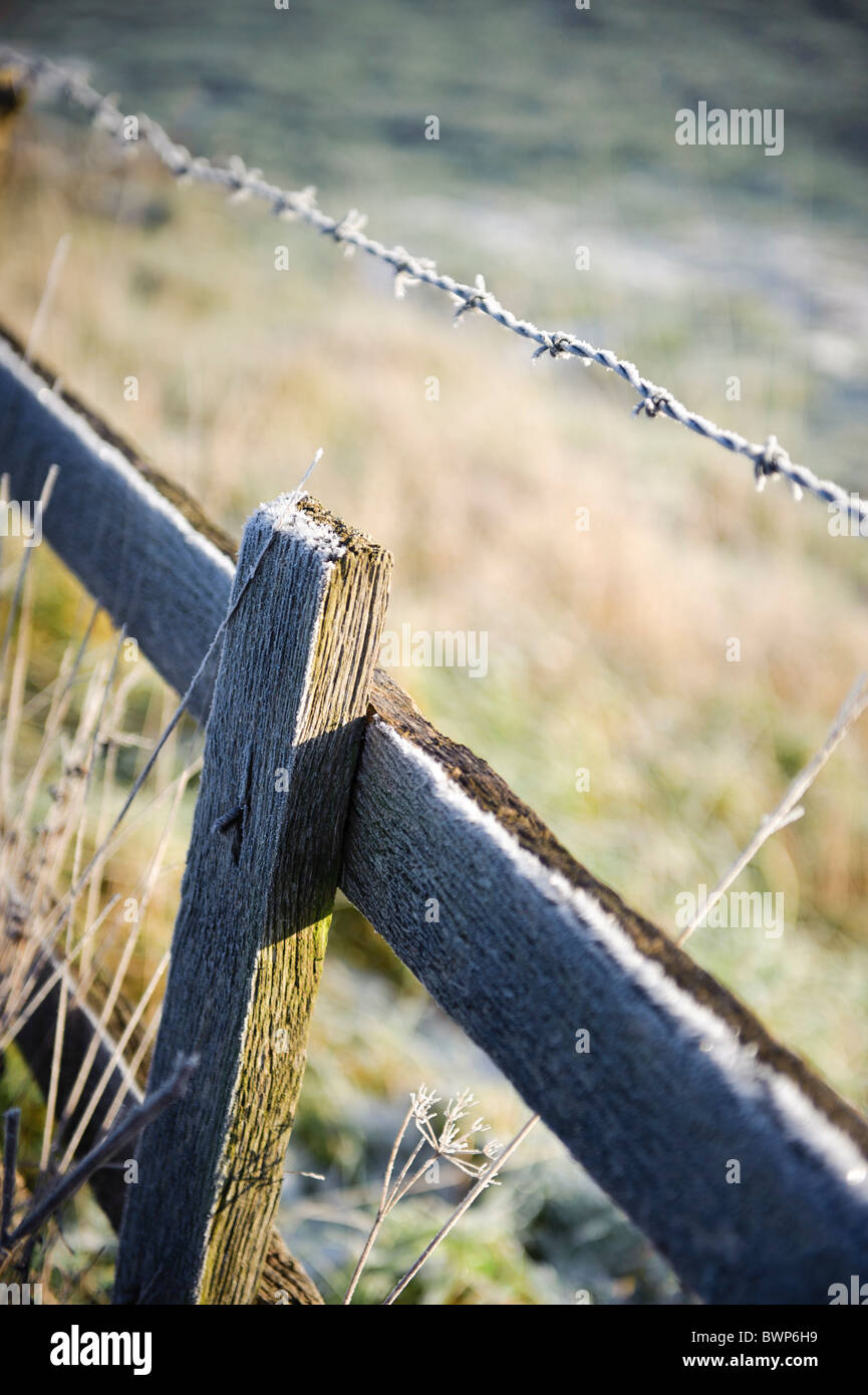 Light snow on wooden fence and barbed wire Stock Photo