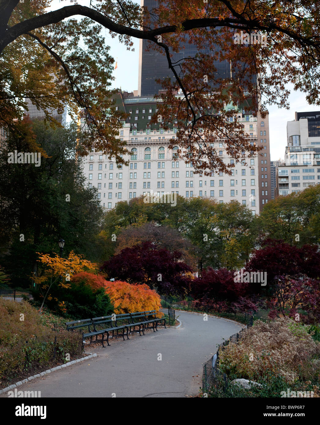 Autumn with a view of Central Park South in the distance and the Plaza ...