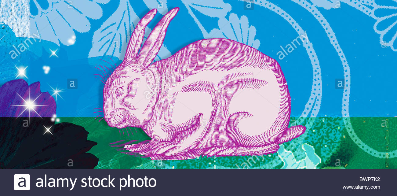 Year Of The Rabbit Stock Photos &amp; Year Of The Rabbit Stock Images - Alamy