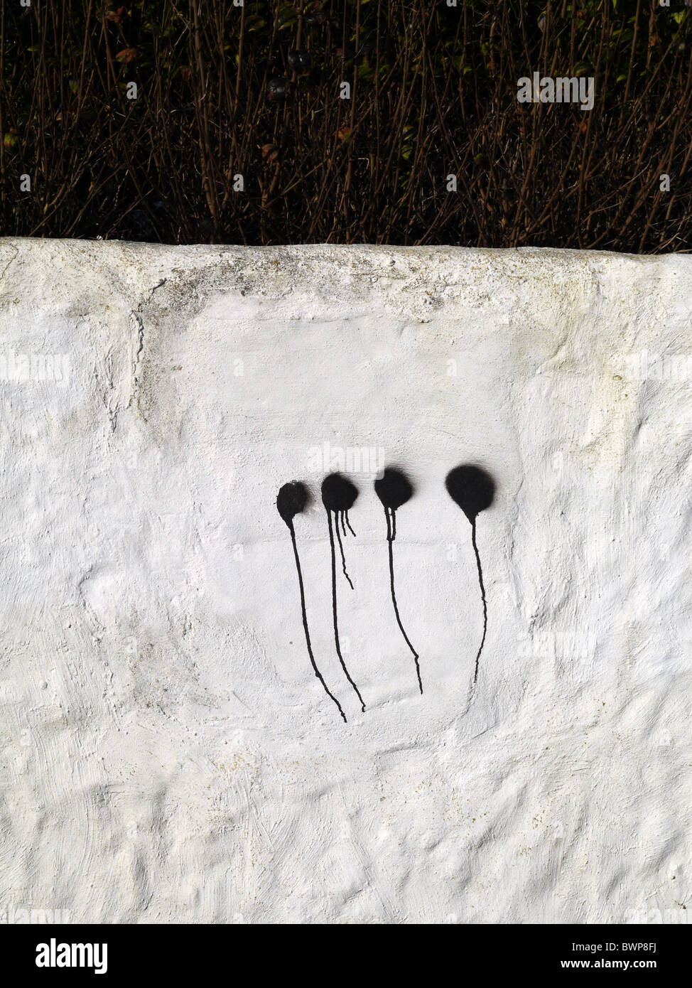 four black paint blobs on white wall with paint trails Stock Photo
