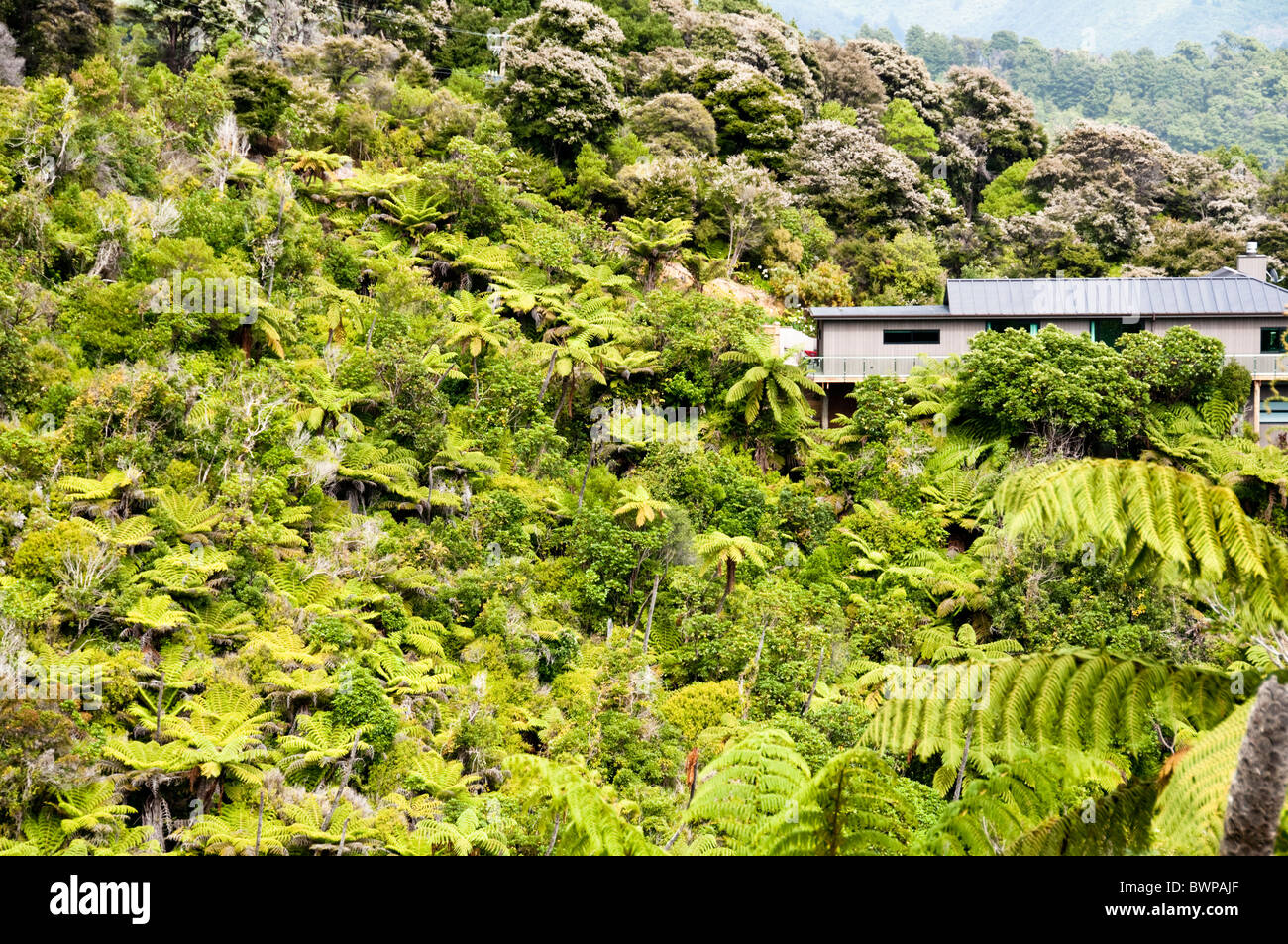 Queen Charlotte Drive, Queen Charlotte Sound,Havelock Town,North,South