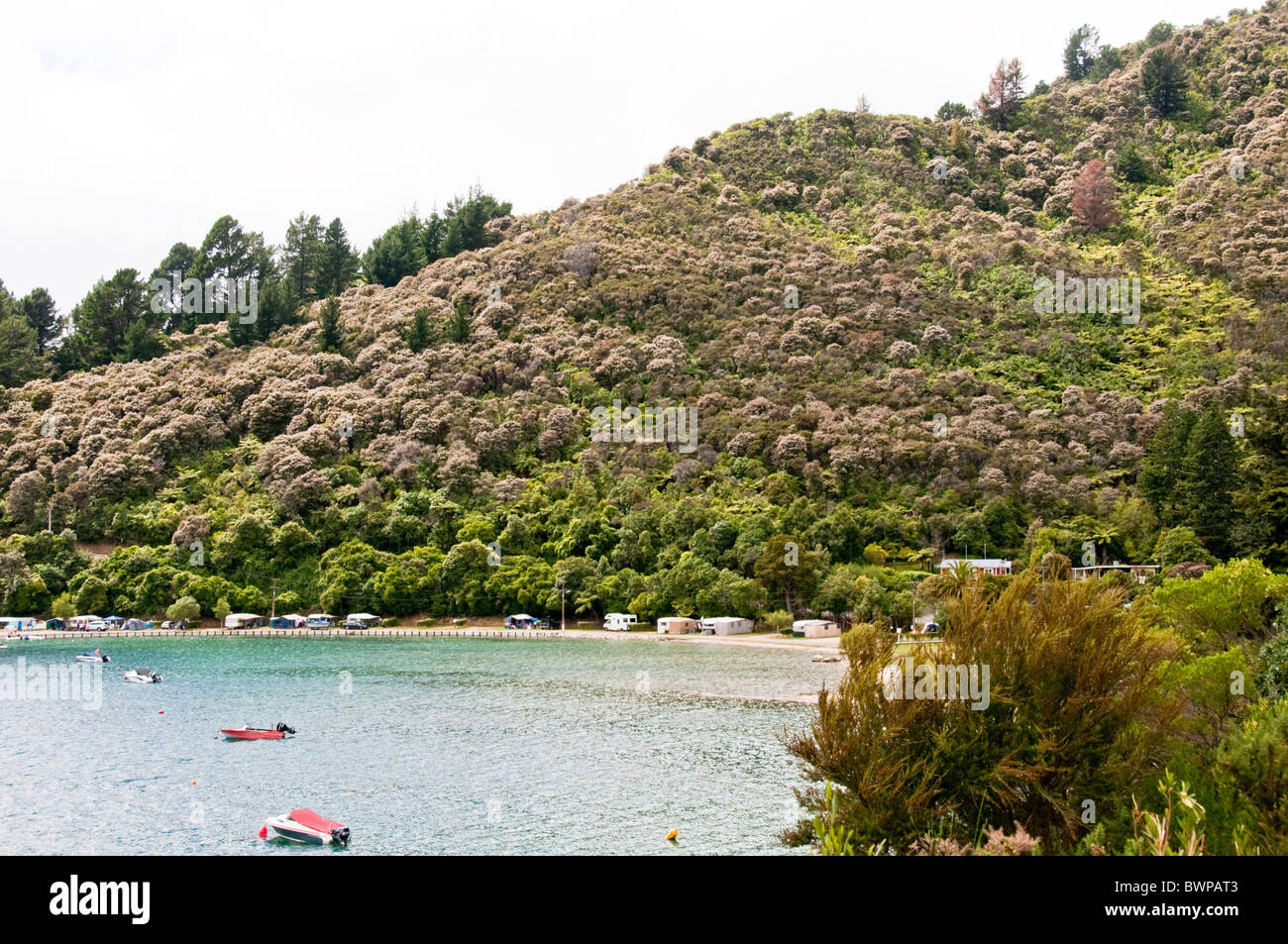 Queen Charlotte Drive, Queen Charlotte Sound,Havelock Town,North,South