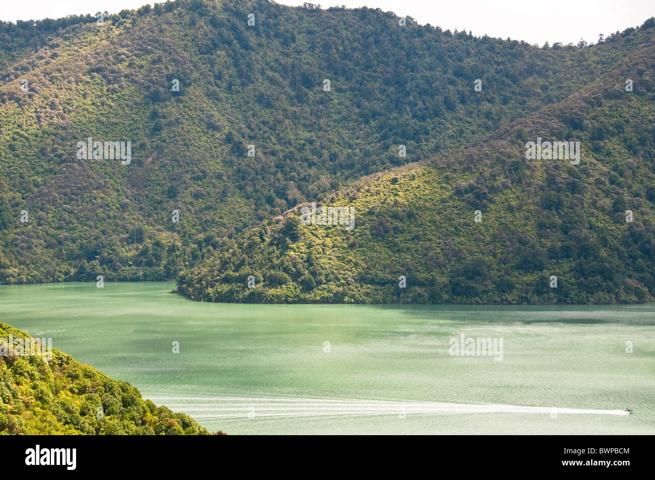 Queen Charlotte Drive, Queen Charlotte Sound,Havelock Town,North,South