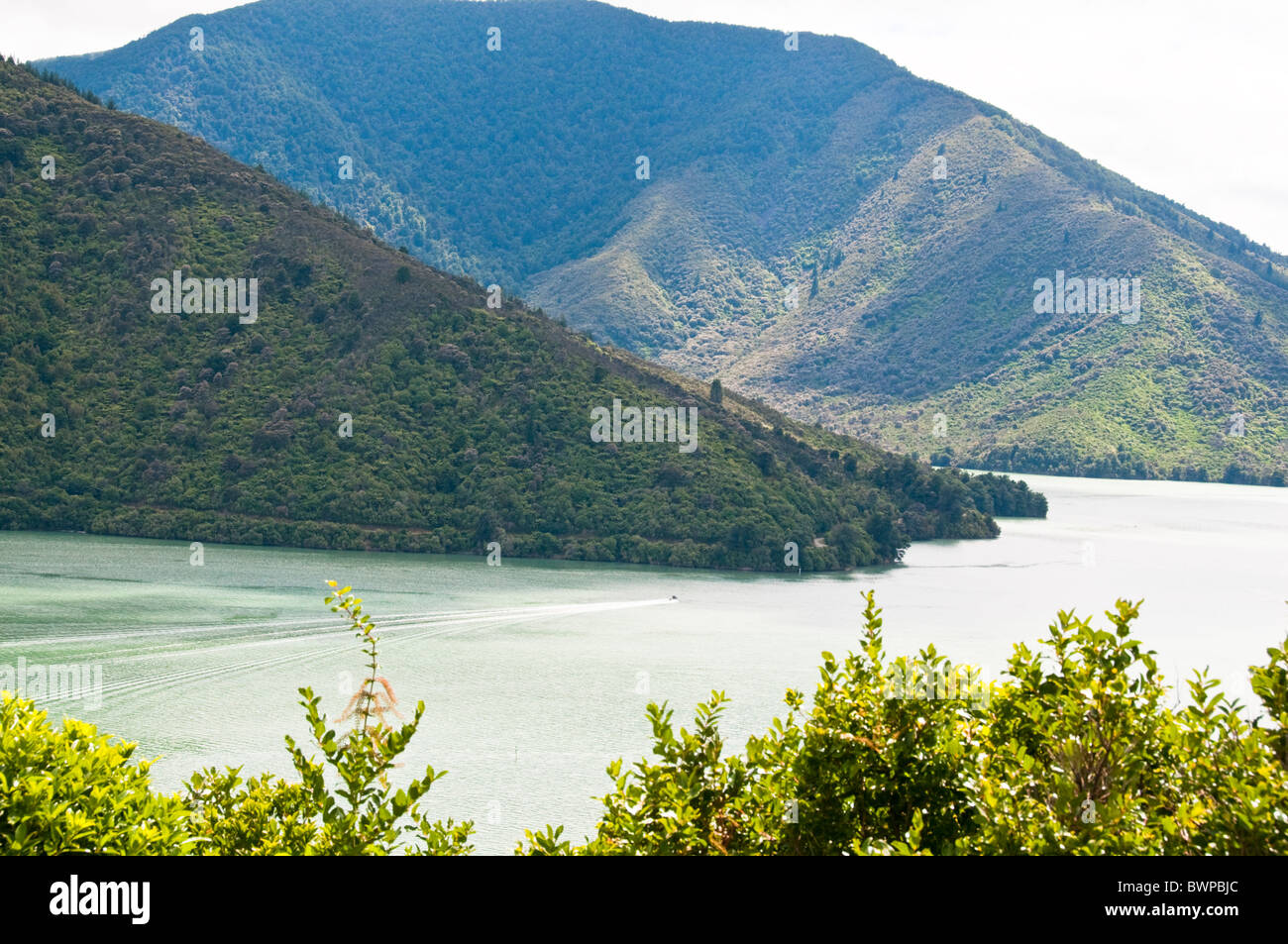 Queen Charlotte Drive, Queen Charlotte Sound,Havelock Town,North,South