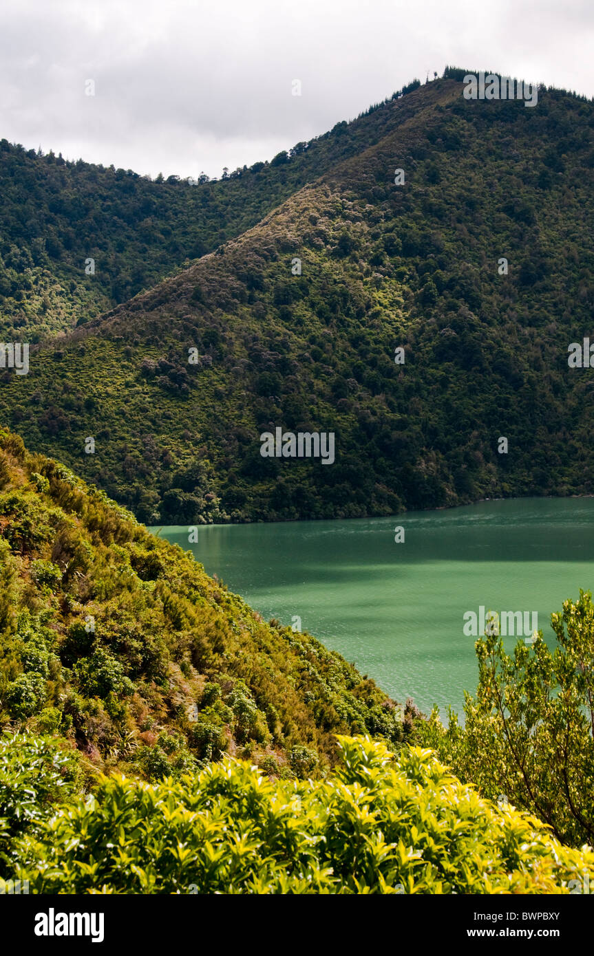 Queen Charlotte Drive, Queen Charlotte Sound,Havelock Town,North,South