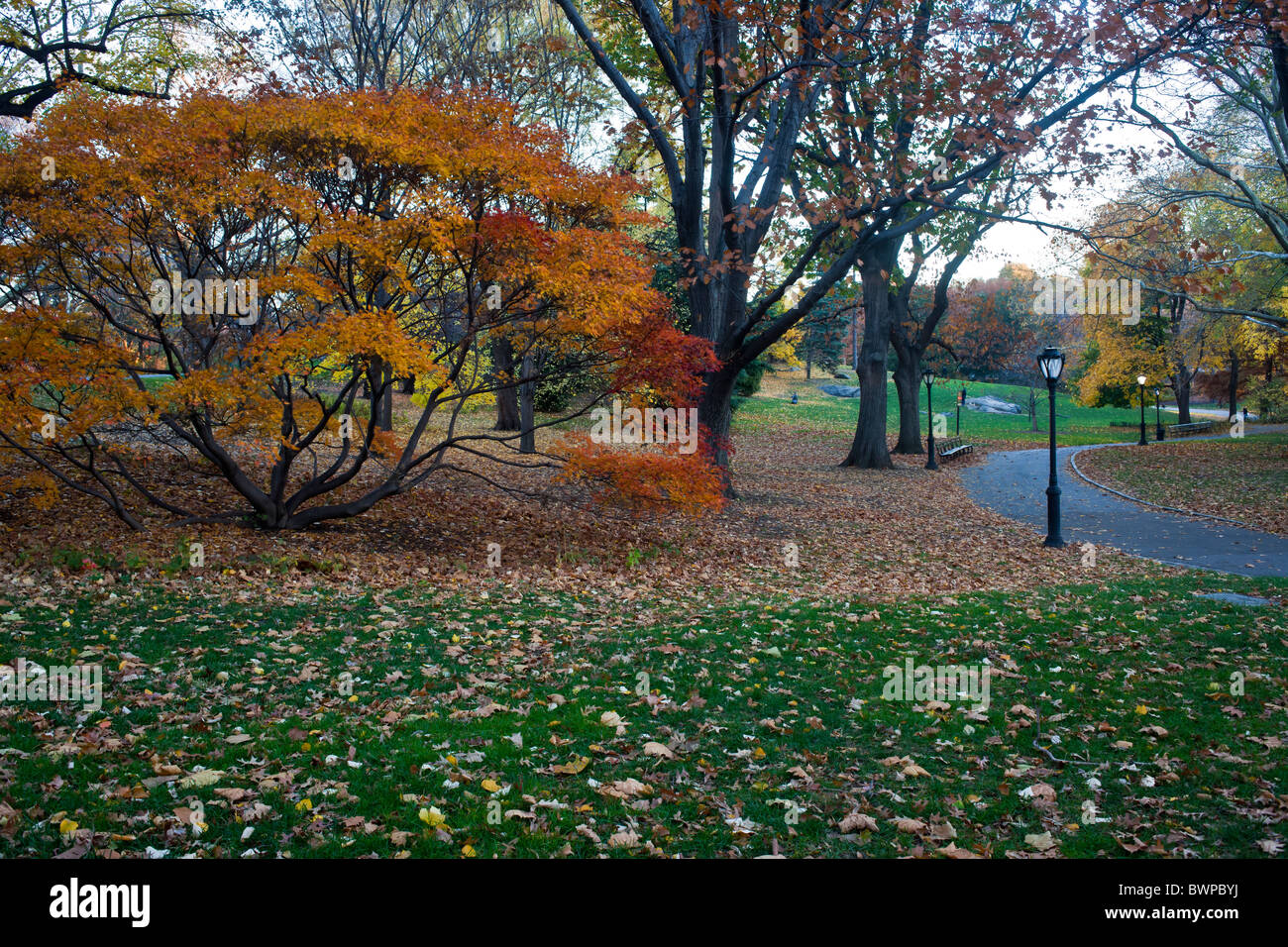 Central Park view in late autumn with view rustic view Stock Photo - Alamy