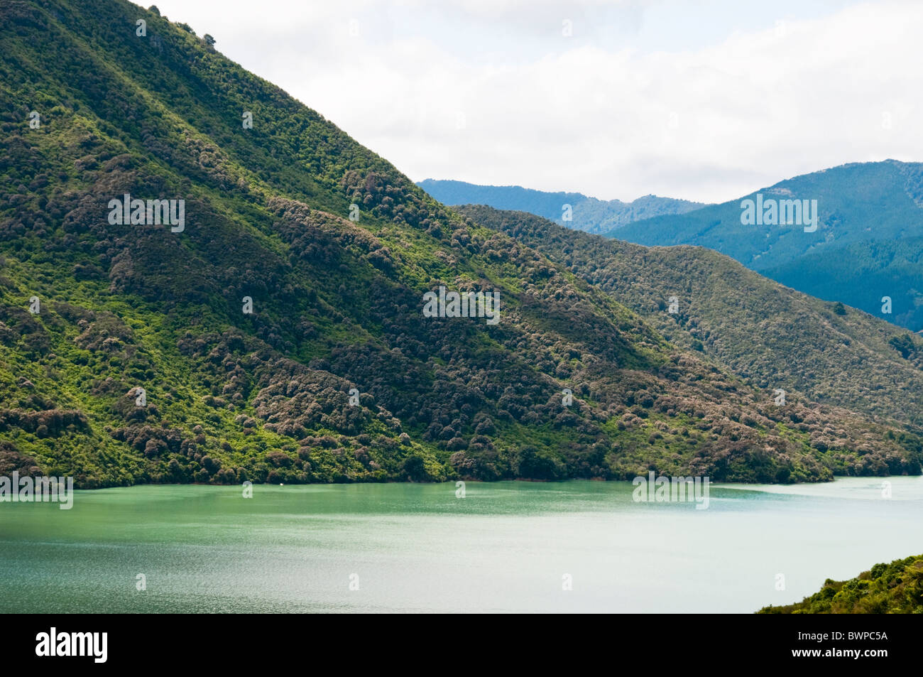 Queen Charlotte Drive, Queen Charlotte Sound,Havelock Town,North,South