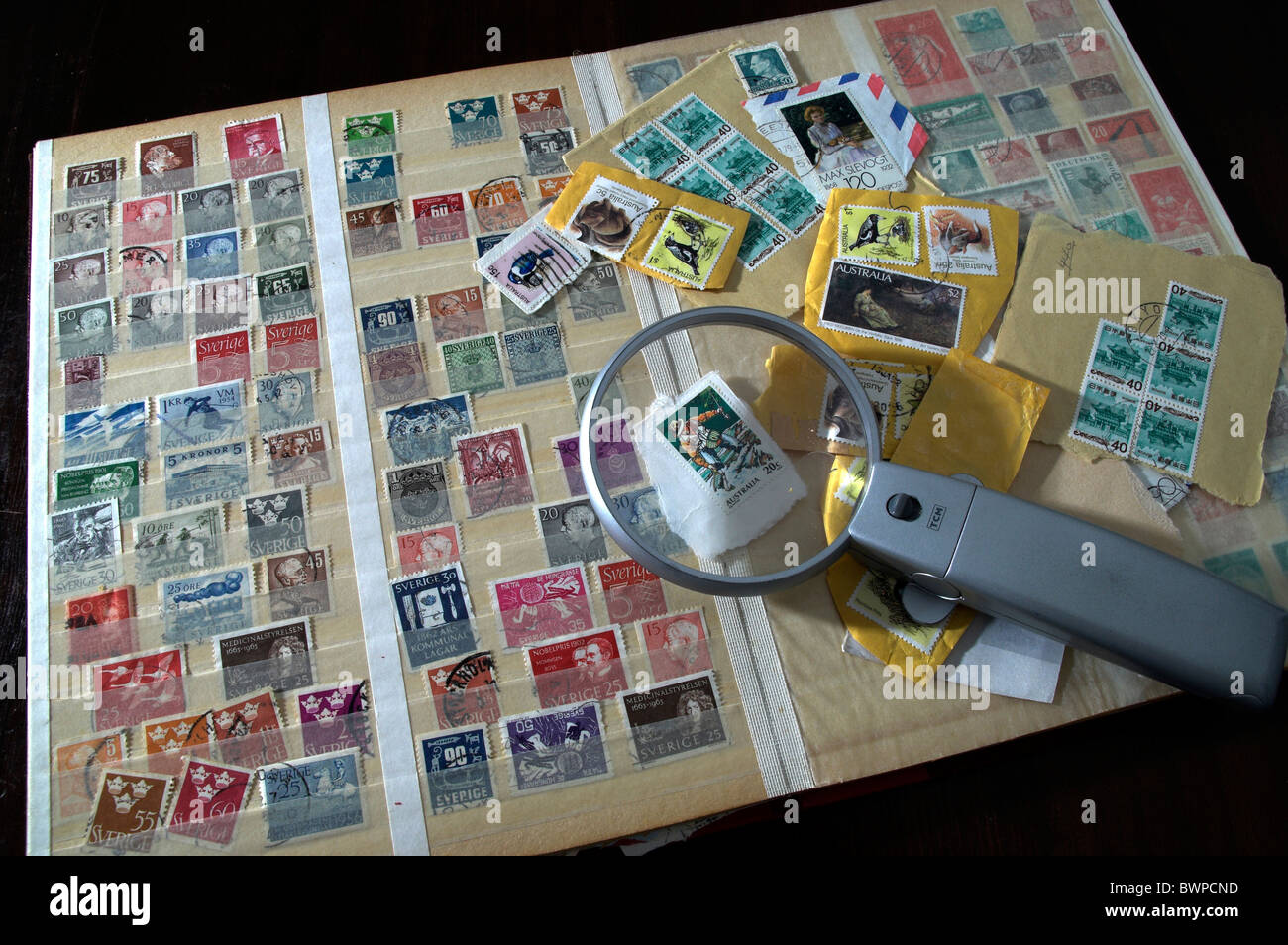 Stamp collection Stamps Collector Collecting Magnifier Lens Hobby Stock Photo