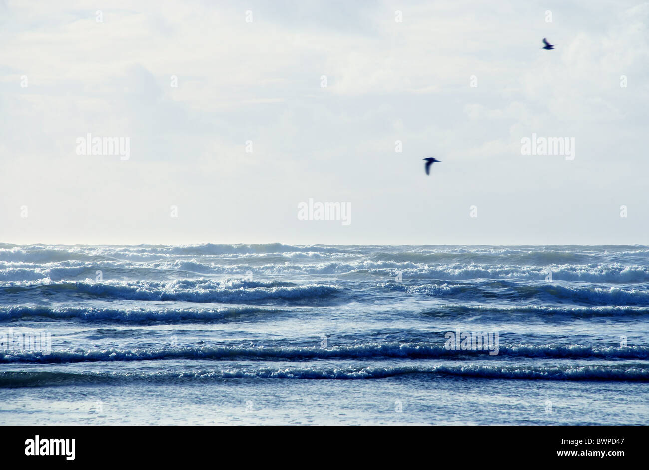 Two birds flying through the air above the waves of the sea. Stock Photo