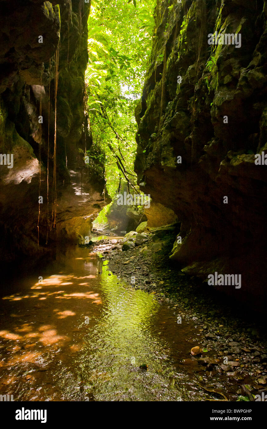 LAKE BAYANO, PANAMA - Narrow gorge in Bayano caves, Comarca Kuna de Madungandi indigenous territory. Stock Photo