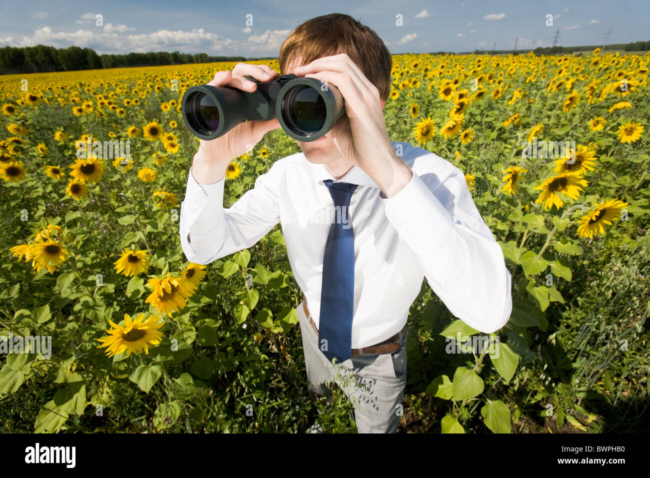 Sunflower online Business Man