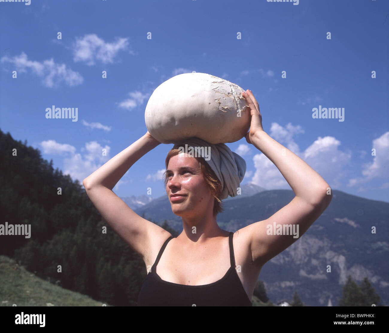 Switzerland Europe Giant puffball Calvatia gigantea Mushroom foray  Mushrooms Fungi Carry Head Carrying Huge Stock Photo - Alamy