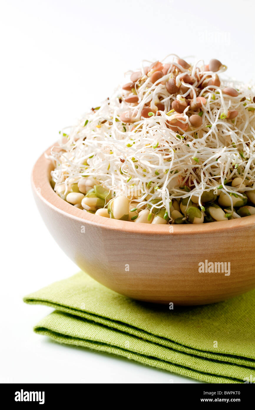 Bowl of mung bean and lentil sprouts Stock Photo Alamy