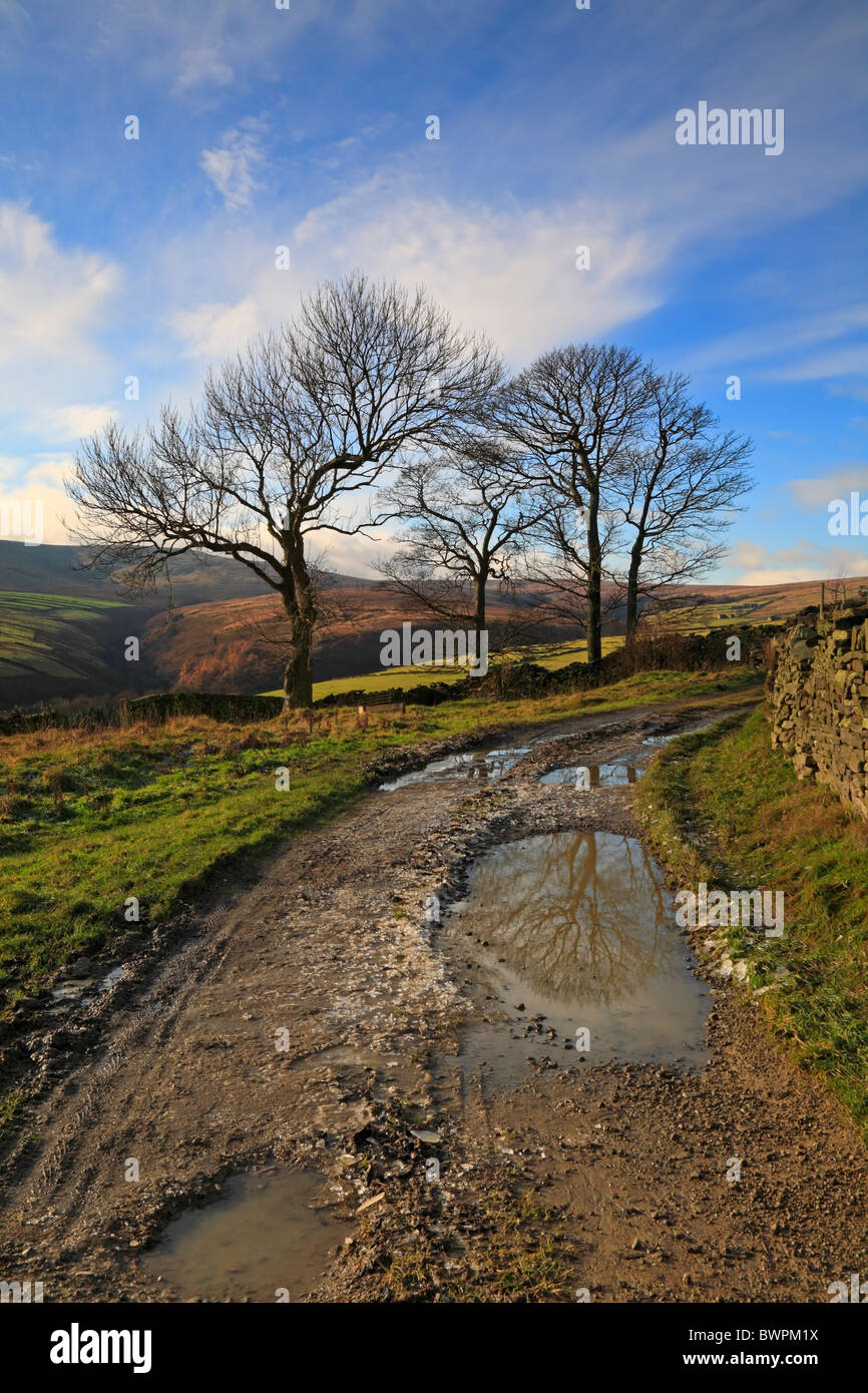 Icy track at Bradshaw, Holmfirth, West Yorkshire, Peak District