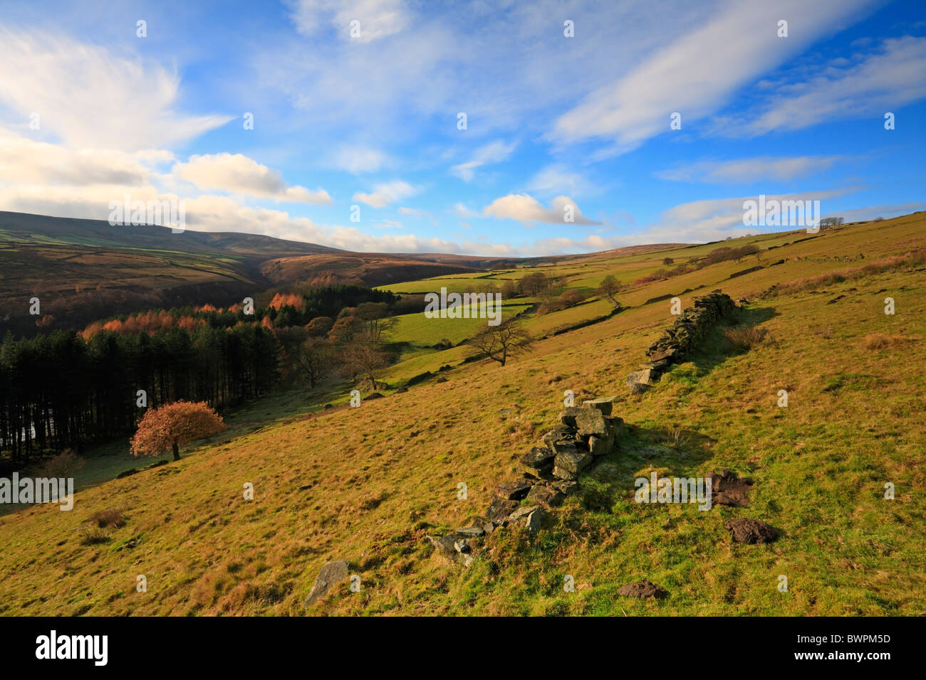 Fields at Bradshaw, Holmfirth, West Yorkshire, Peak District National