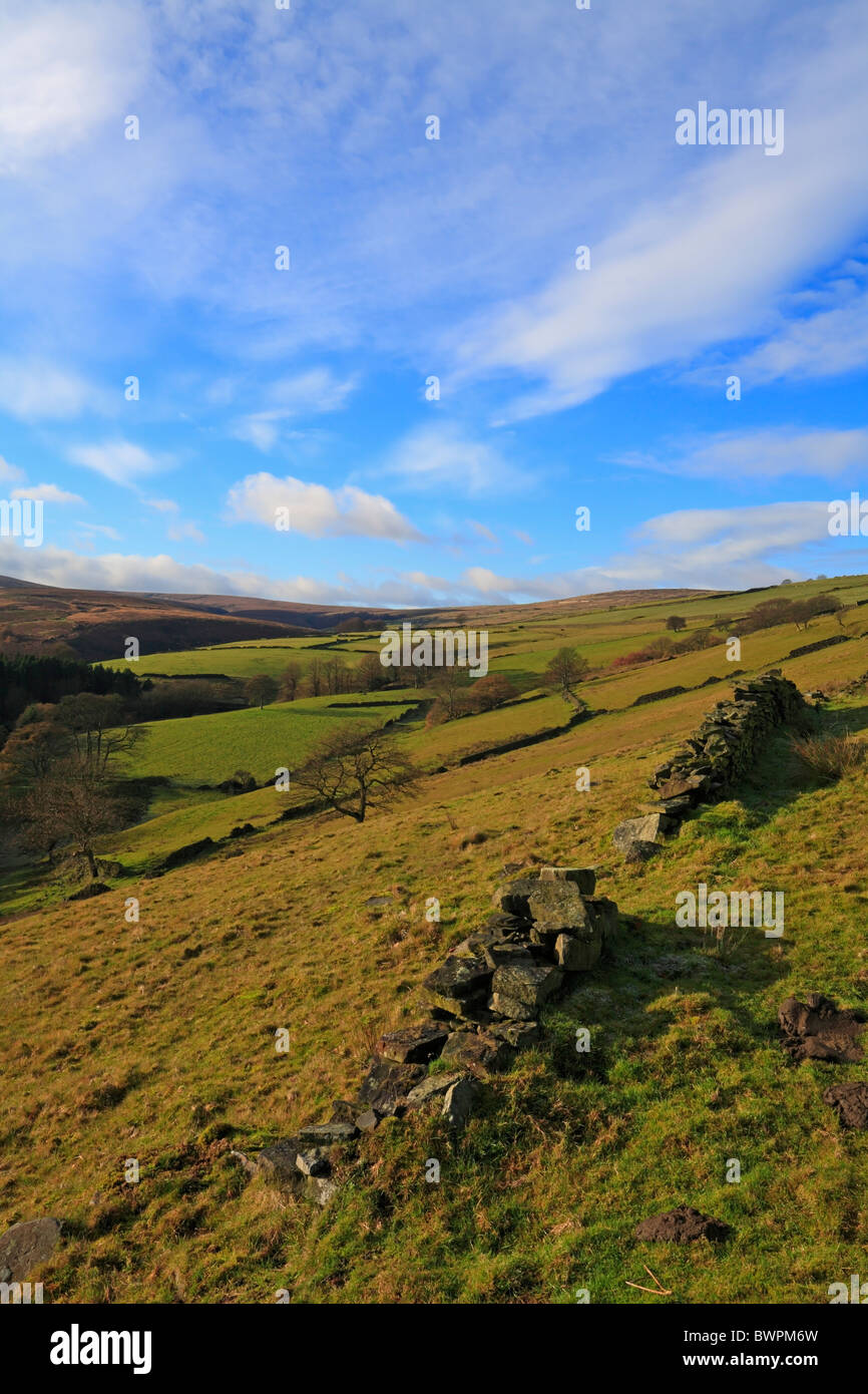 Fields at Bradshaw, Holmfirth, West Yorkshire, Peak District National