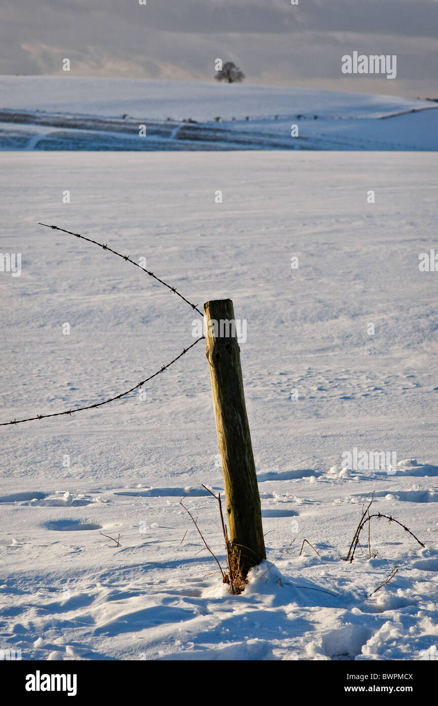 Fence post with barbed wire. Snowy landscape Stock Photo - Alamy