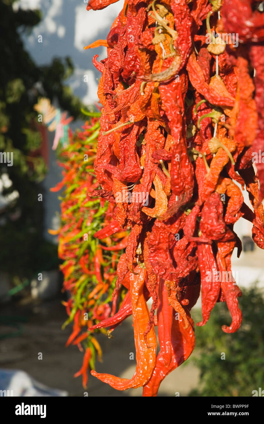 Strings of dried chilies hi-res stock photography and images - Alamy