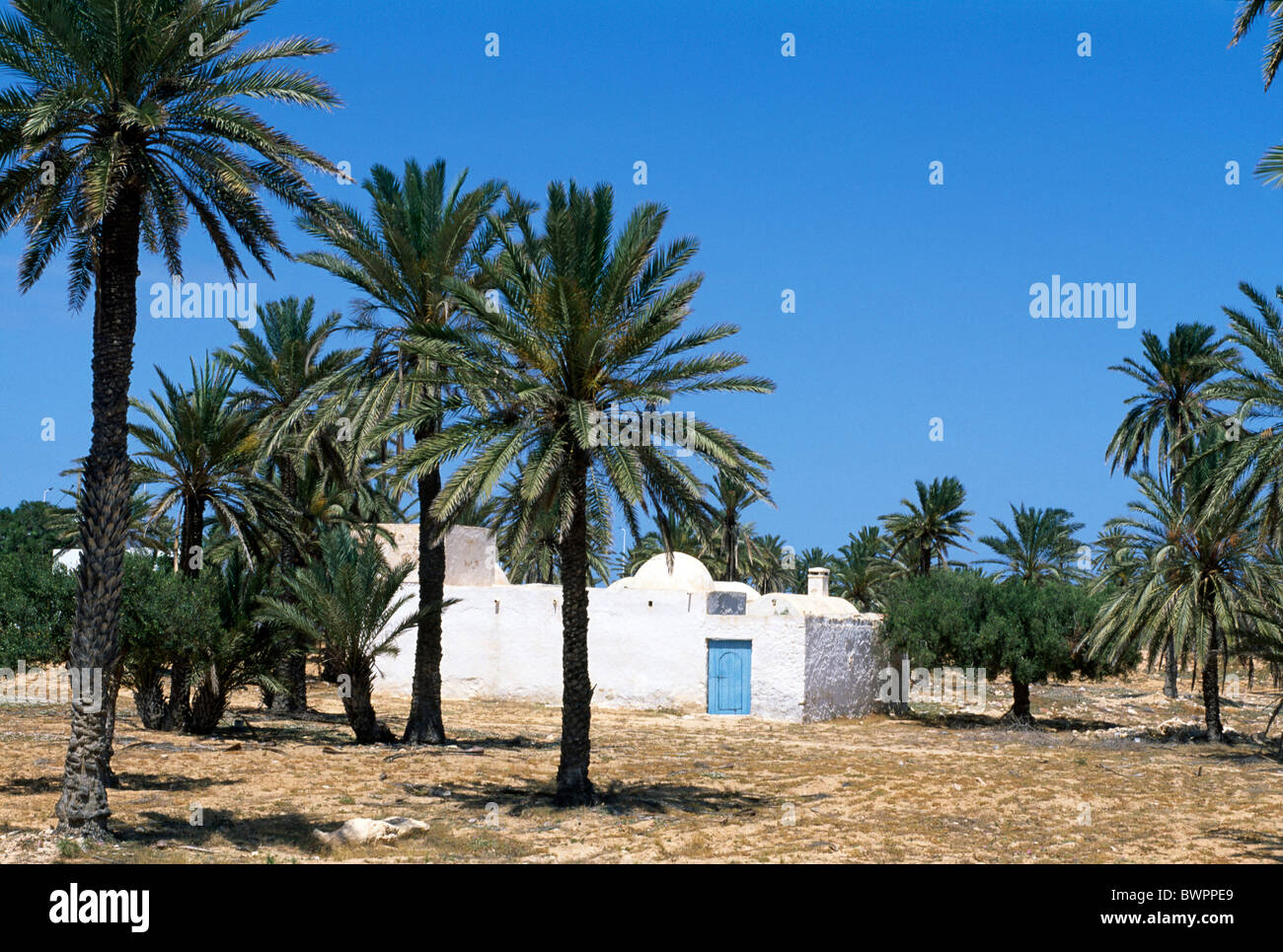 tunisia-menzel-town-midoun-djerba-island-africa-north-africa