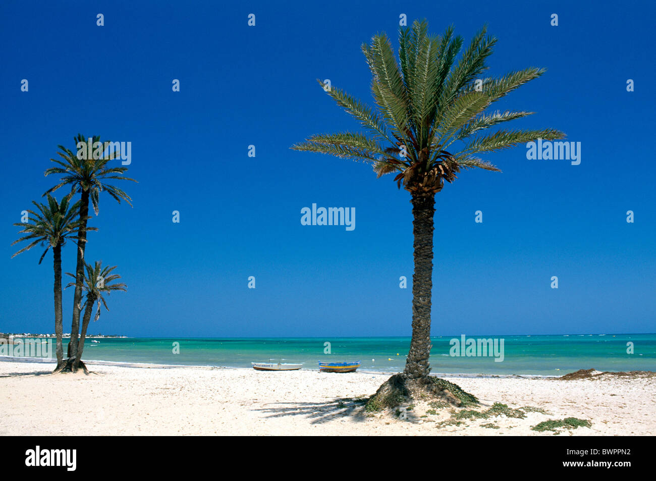 Tunisia Djerba island Seguia Beach Africa North Africa Mediterranean ...
