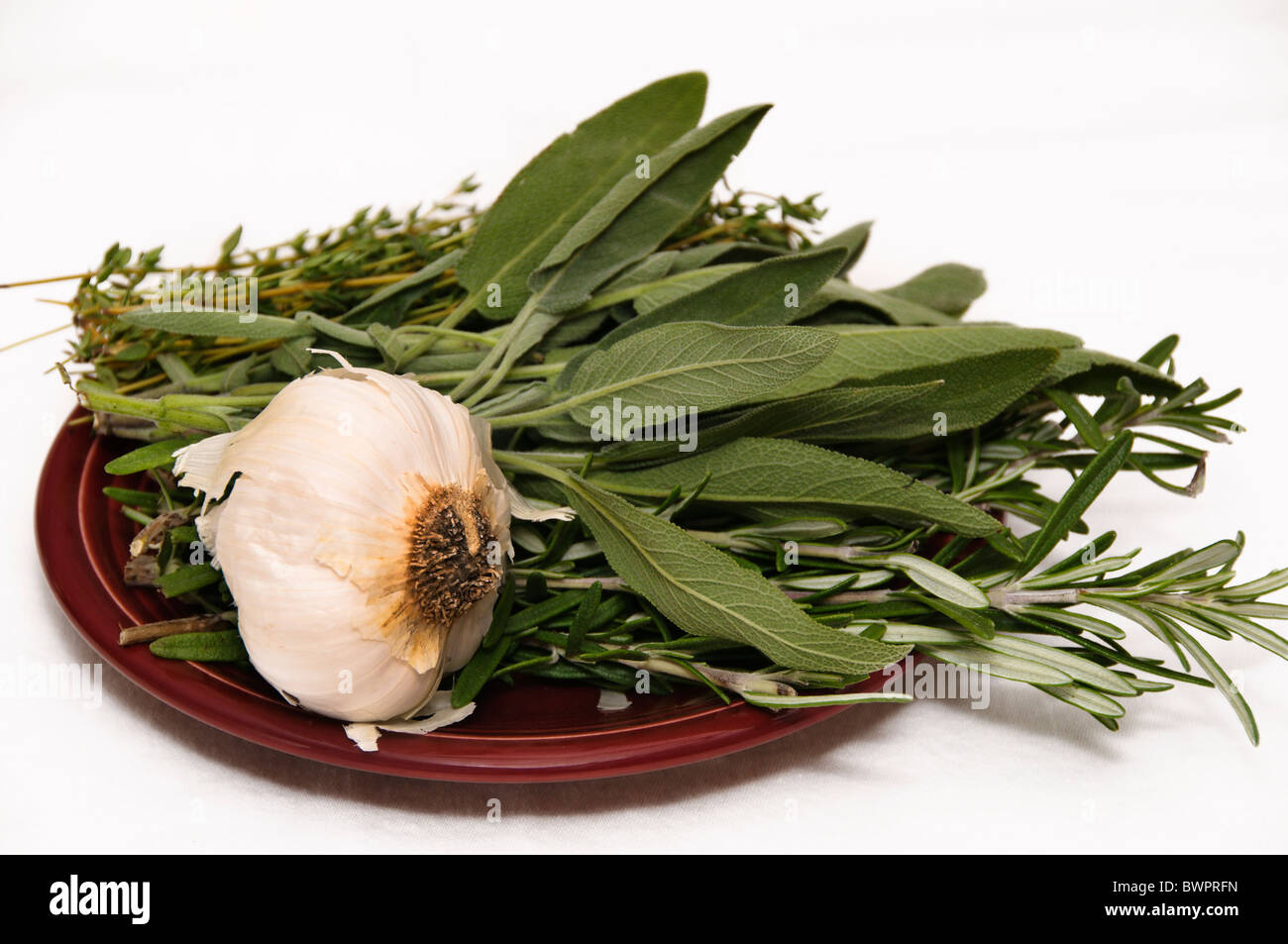 Sage, rosemary, thyme and garlic are ready to use to flavor the main course. Stock Photo