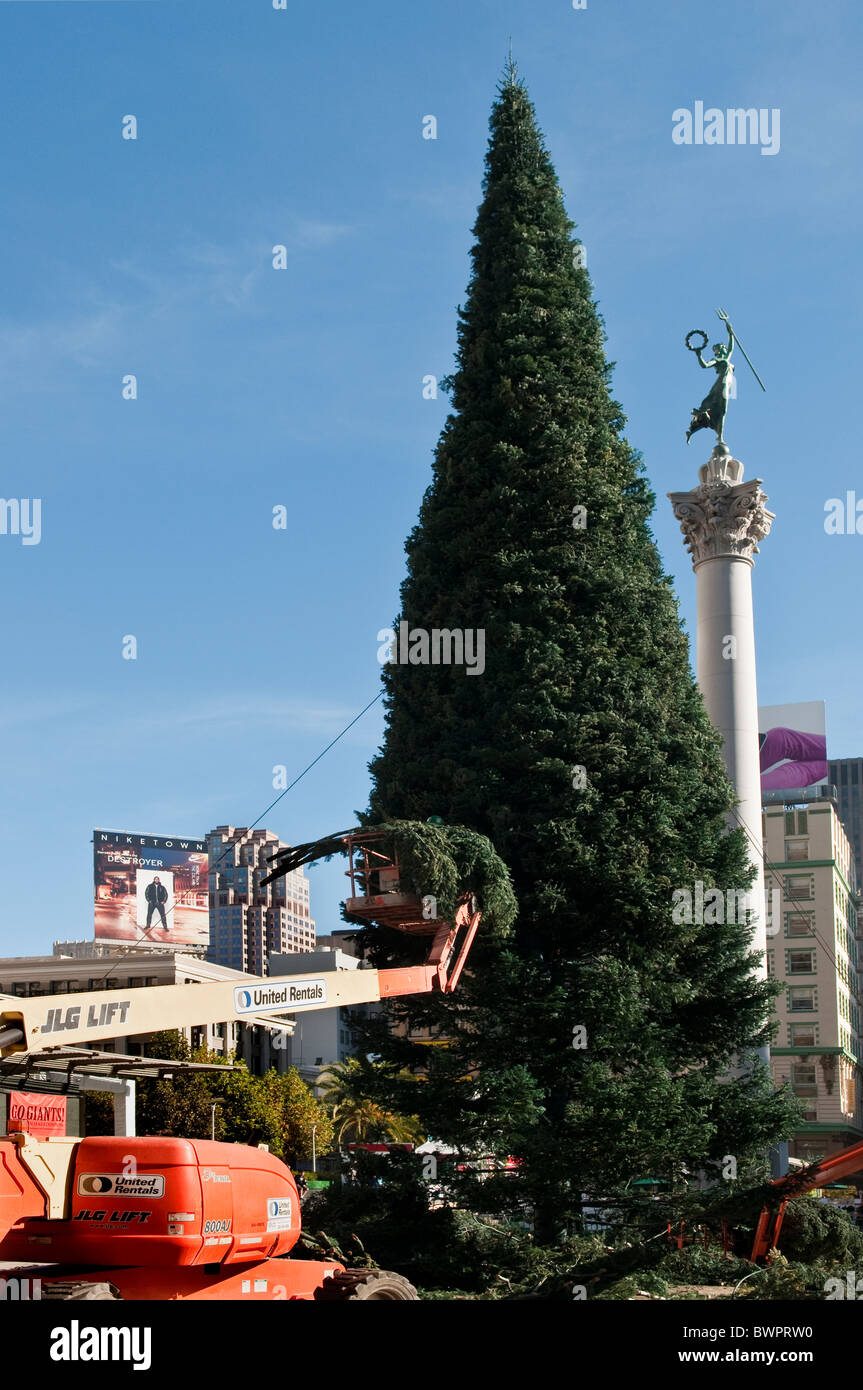 Erection of Christmas tree in Union Square San Francisco California Stock Photo