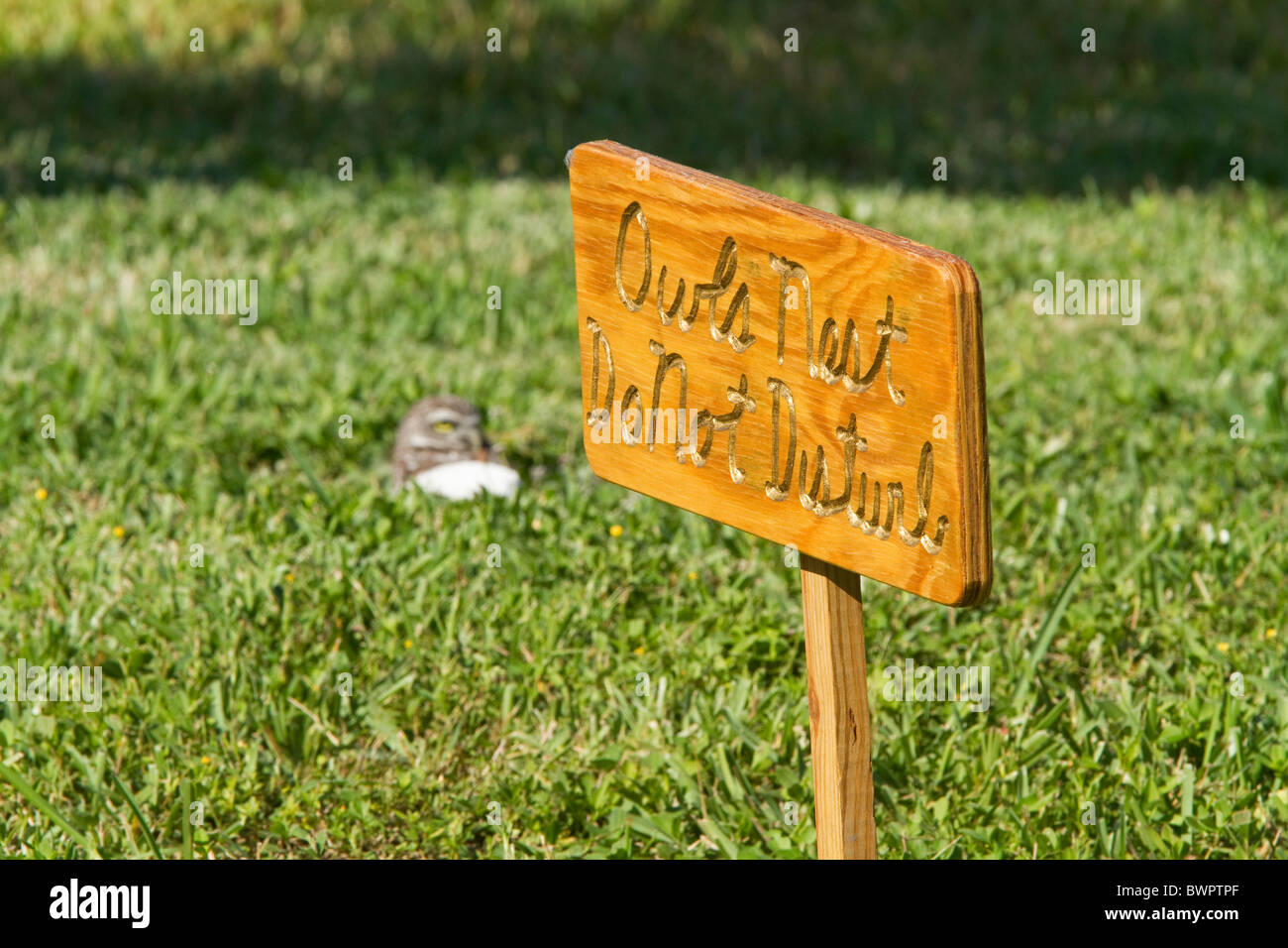 Burrowing owl sign that warns of owl nest and to not disturb ,in suburban habitat in Florida Keys. Stock Photo