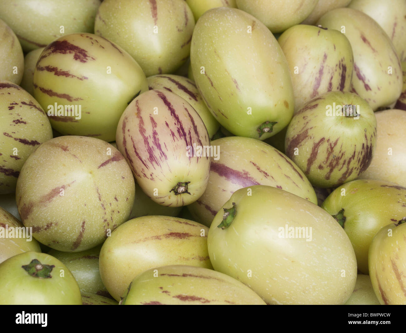 Exotic apples Stock Photo