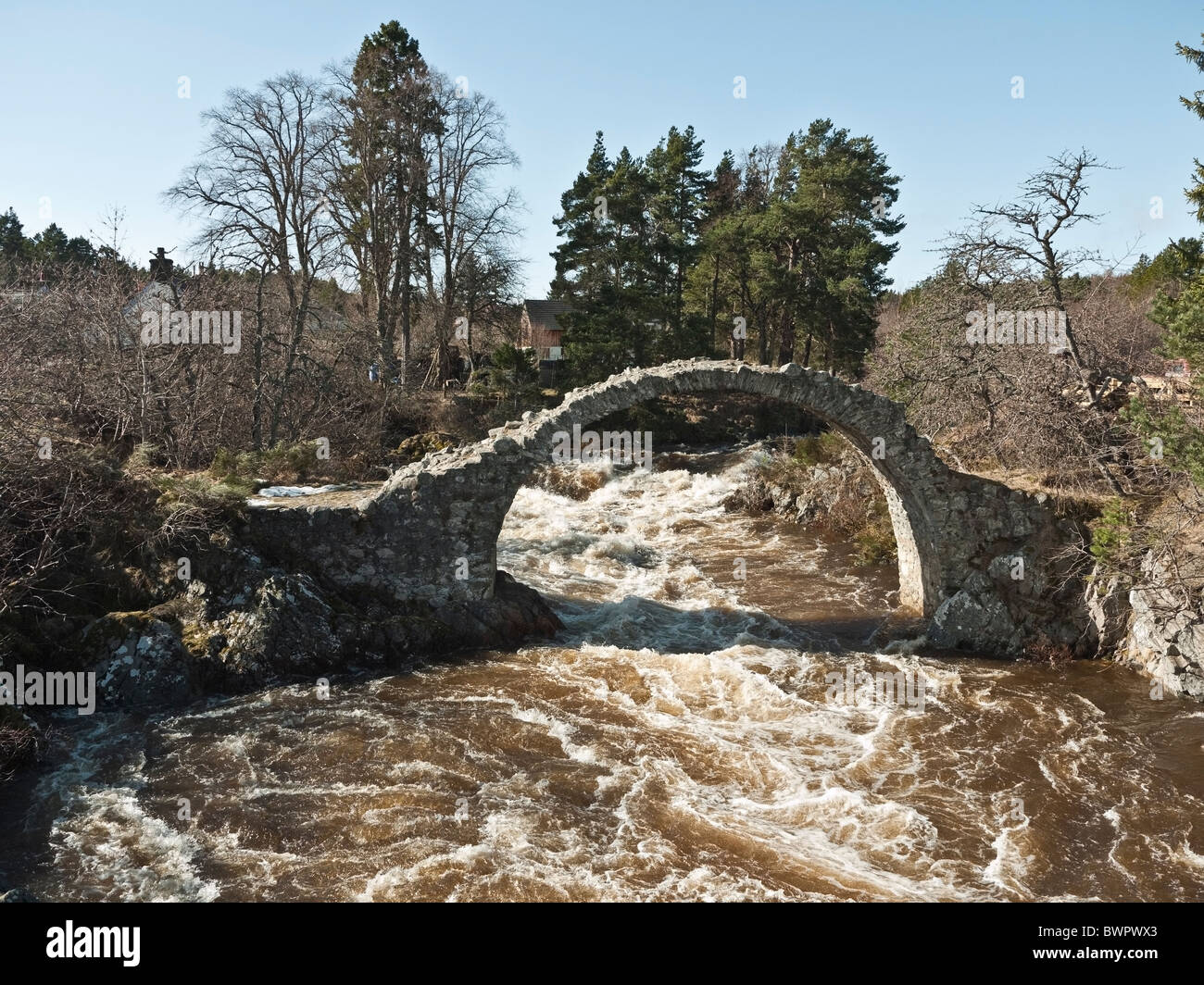 Old Packhorse Bridge over  Dulnain river in spate with melt waters, winter,  Carrbridge, near Aviemore, Cairngorms, Scotland, UK Stock Photo