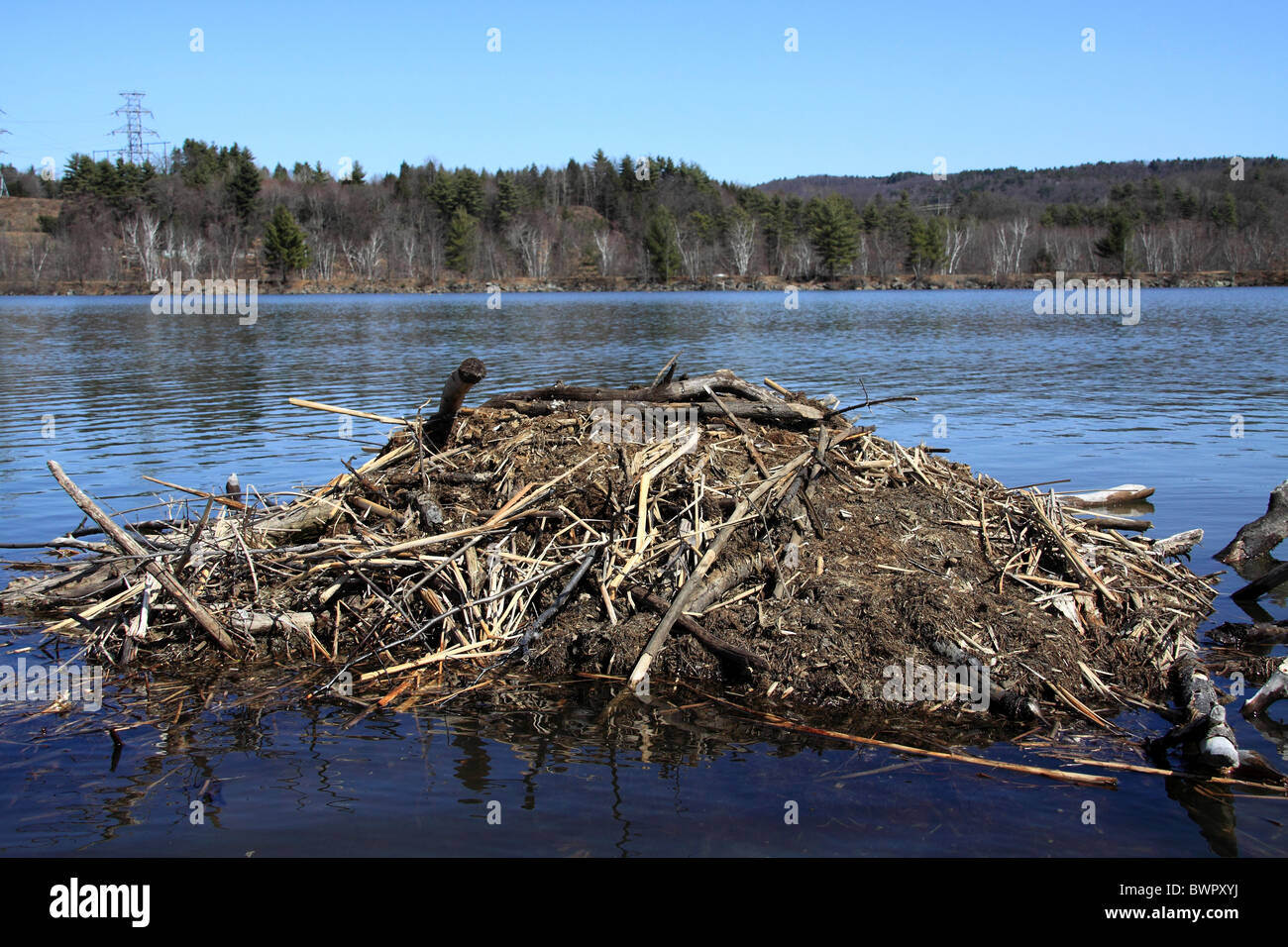 USA New Hampshire Hinsdale Beaver Lodge on the Connecticut River during