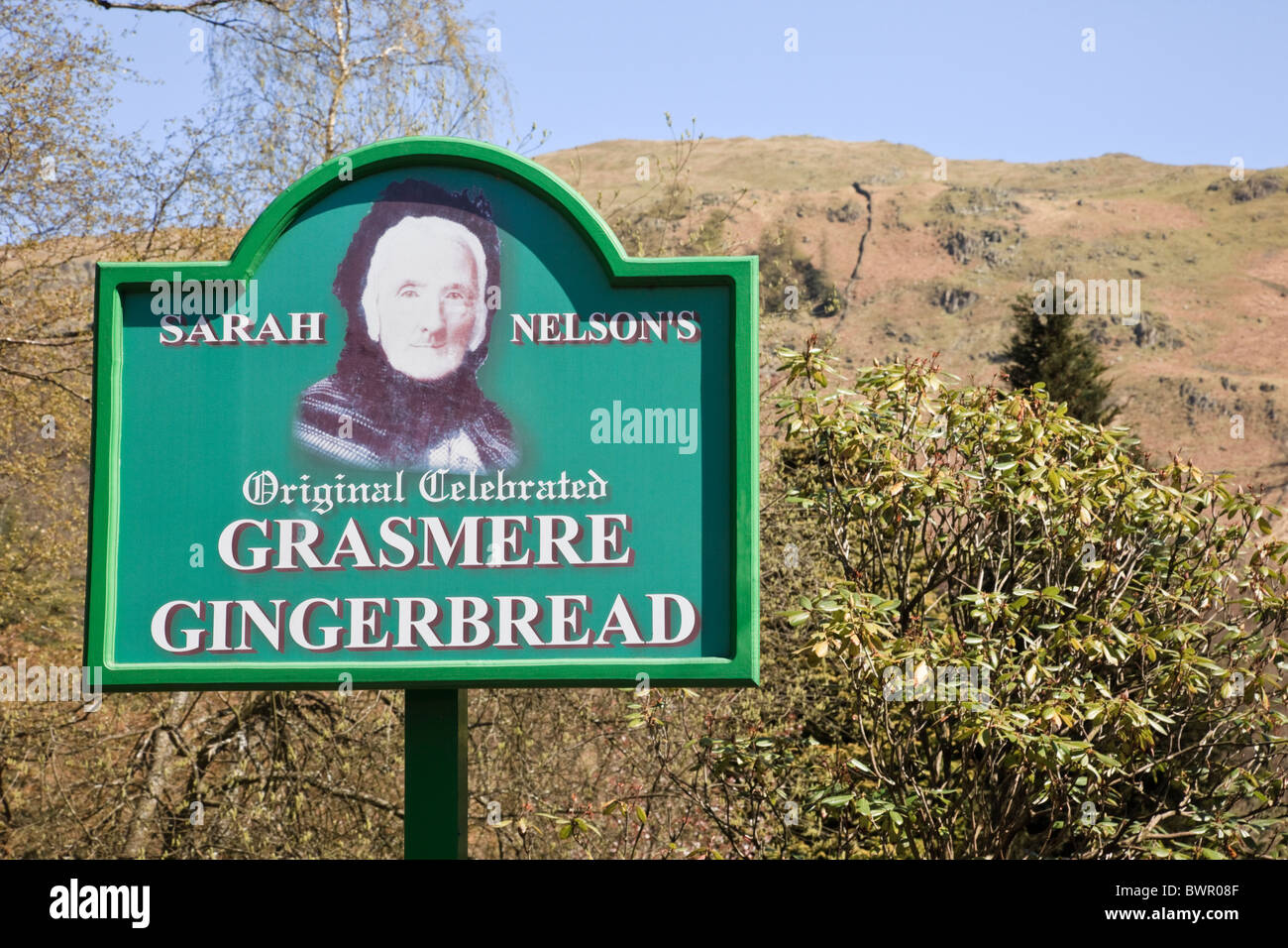 Sarah Nelson's Gingerbread shop sign in the Lake District National Park. Grasmere, Cumbria, England, UK, Britain Stock Photo