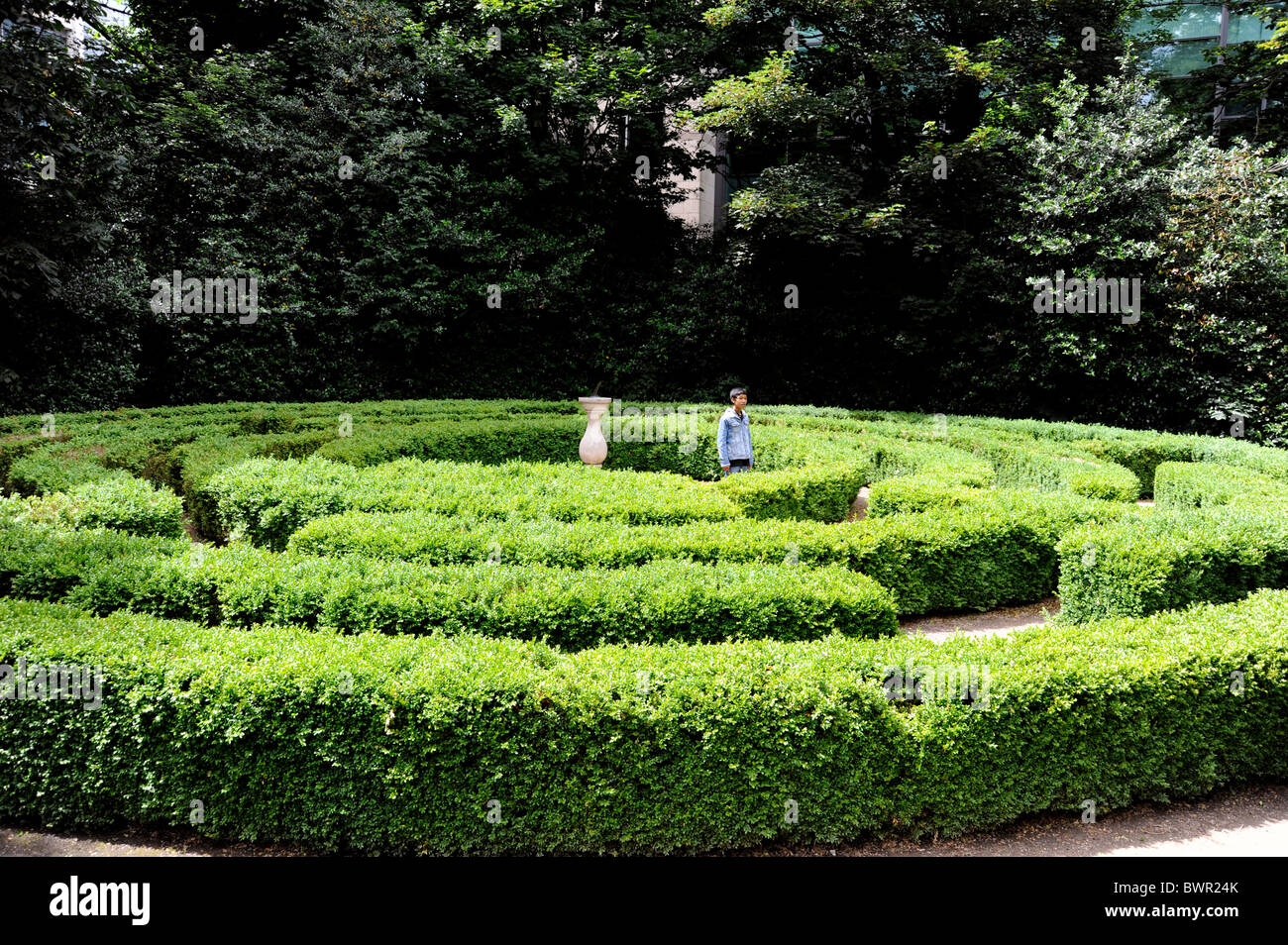 boy in the labyrinth at Iveagh gardens, Dublin, Ireland Stock Photo - Alamy