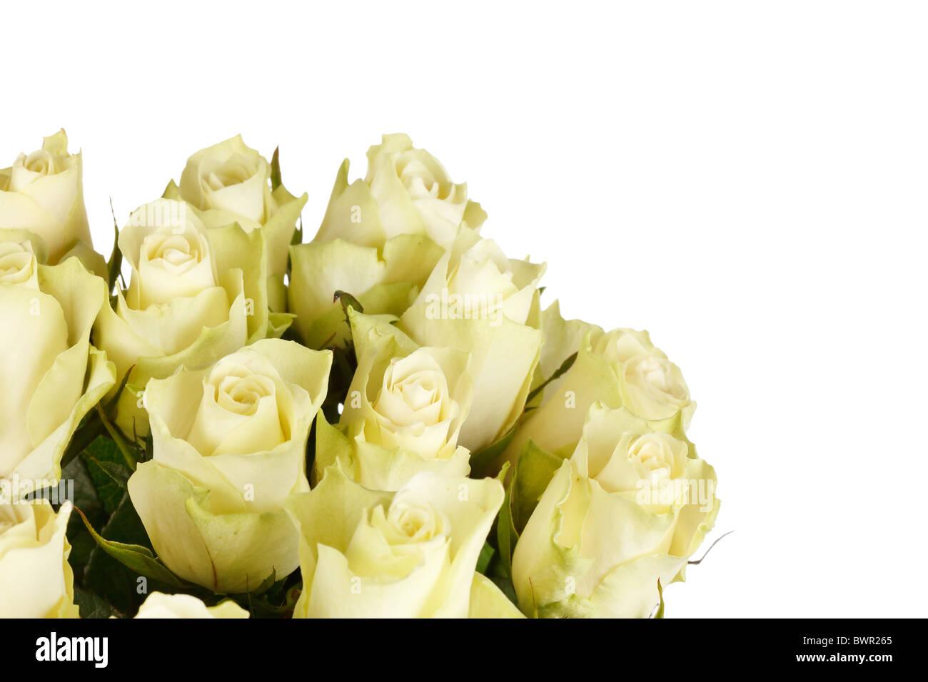 Bridal bouquet white roses on Cut Out Stock Images & Pictures - Alamy