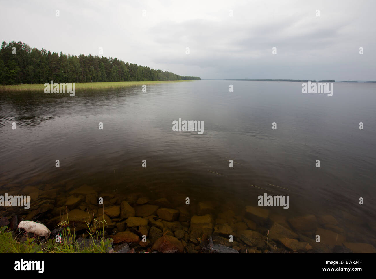 Rainy day and lake surface , Finland Stock Photo