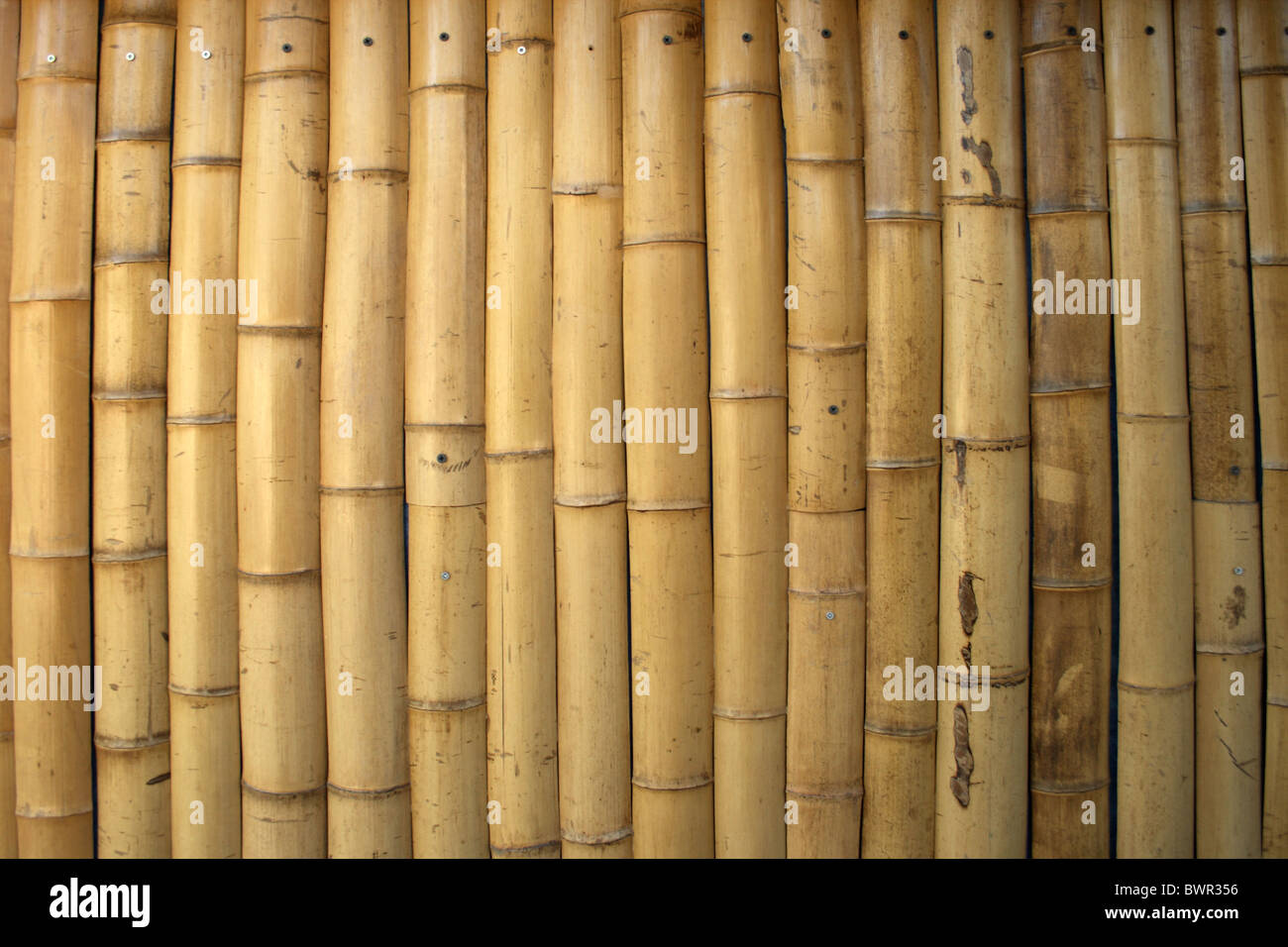 Bamboo Backgrounds Texture Stock Photo