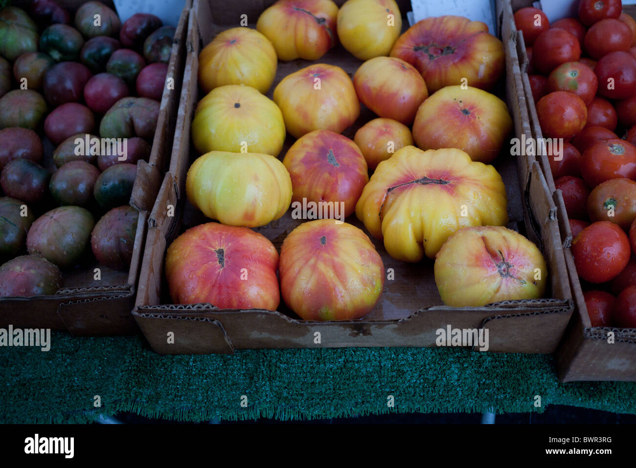 Tomatoes at a farmers market hi-res stock photography and images - Alamy