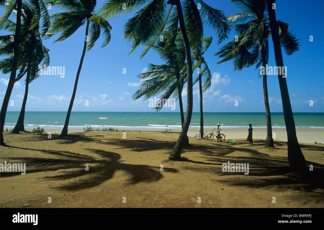 Indonesia Madura island Slopeng Beach North coast island still untouched by tourism Asia beach palmtree sea Stock Photo