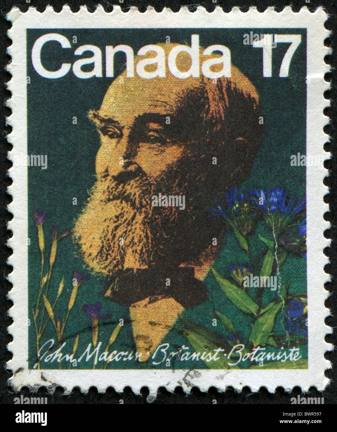 CANADA - CIRCA 1981: A stamp prointed in Canada shows botanist John Macoun, circa 1981 Stock Photo