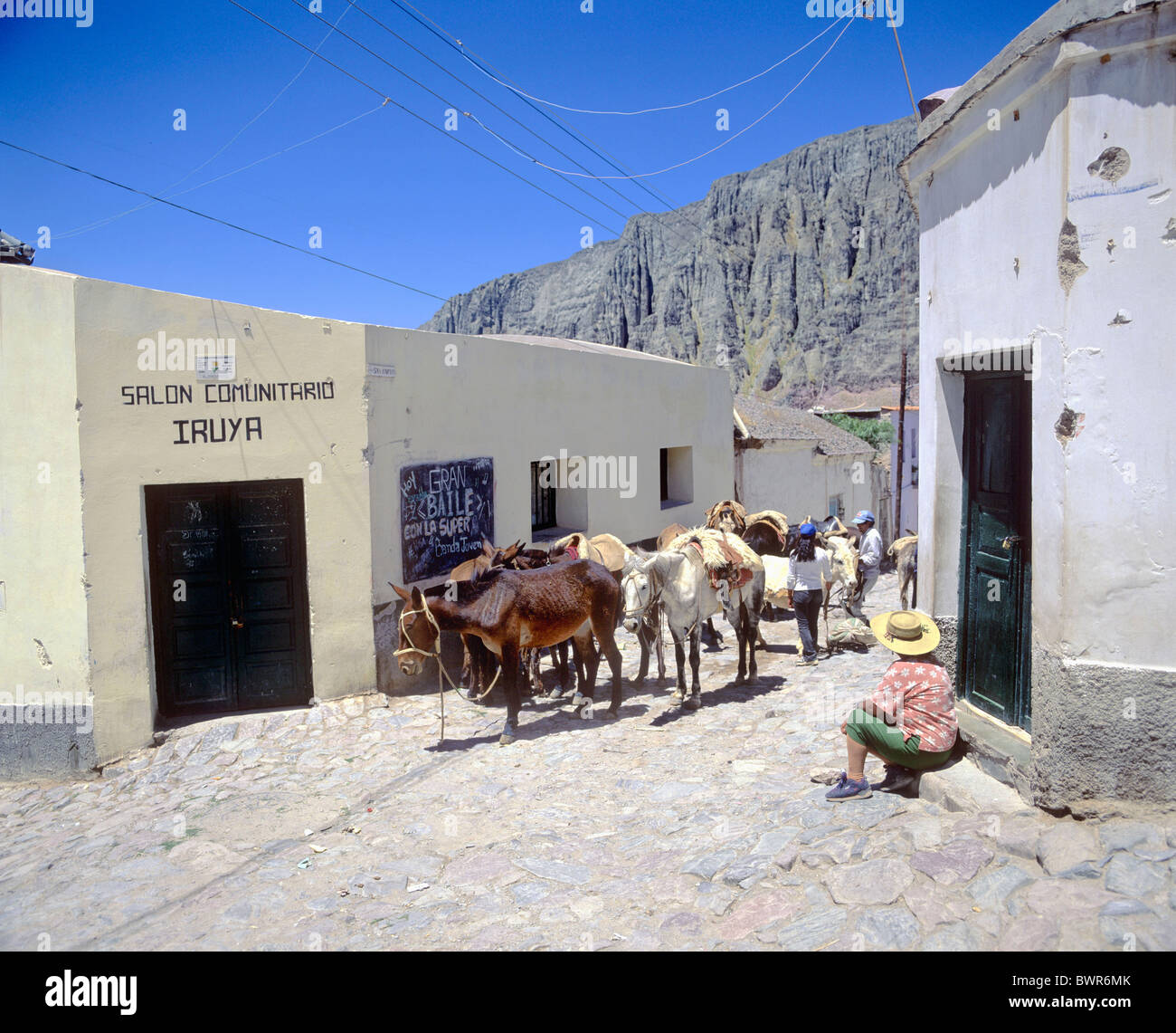 Argentina South America Salta province Iruya village of Iruya loading cargo donkeys donkey transport goods ma Stock Photo