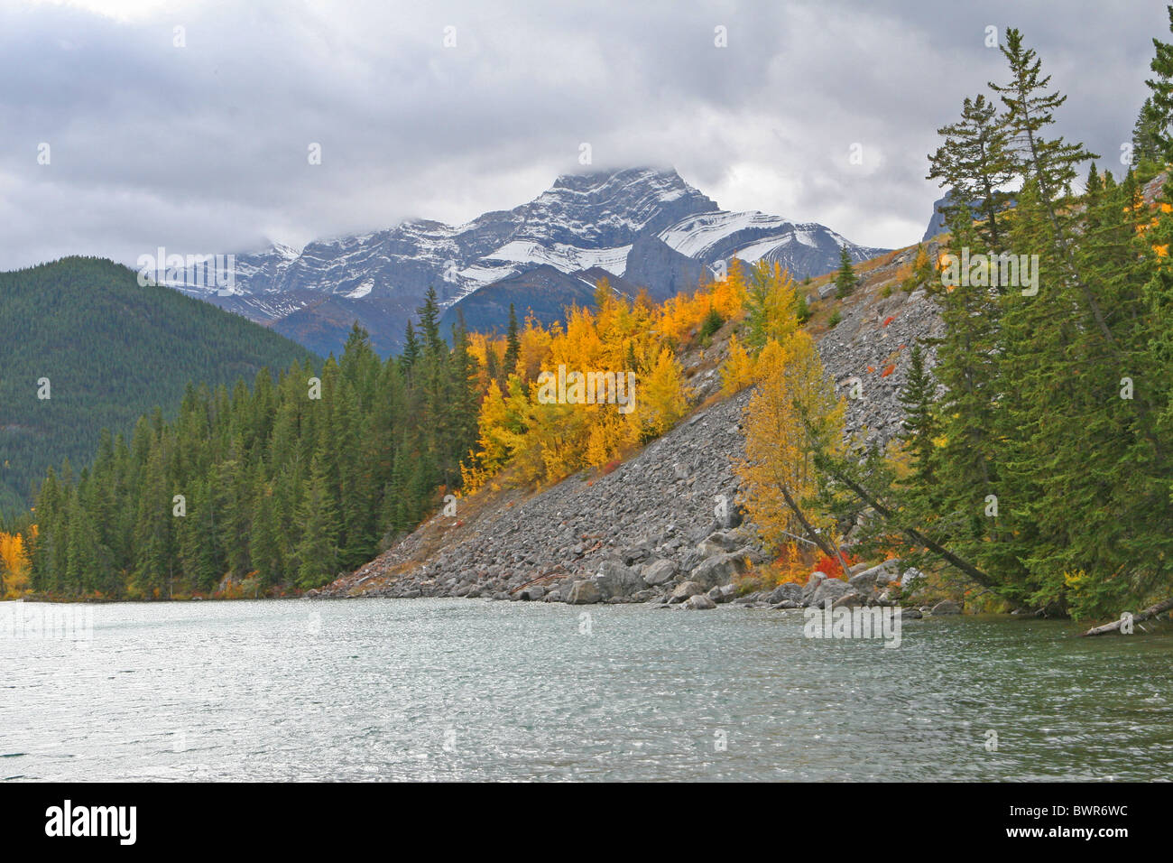 Autumn colours in Kananaskis Country, Alberta, Canada Stock Photo