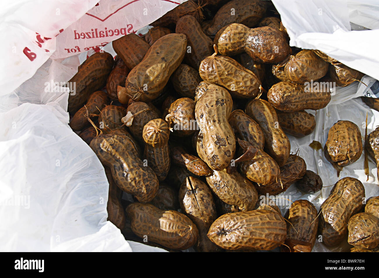 Boiled peanuts at roadside stand in Plant City, Florida, USA © Myrleen Pearson Stock Photo