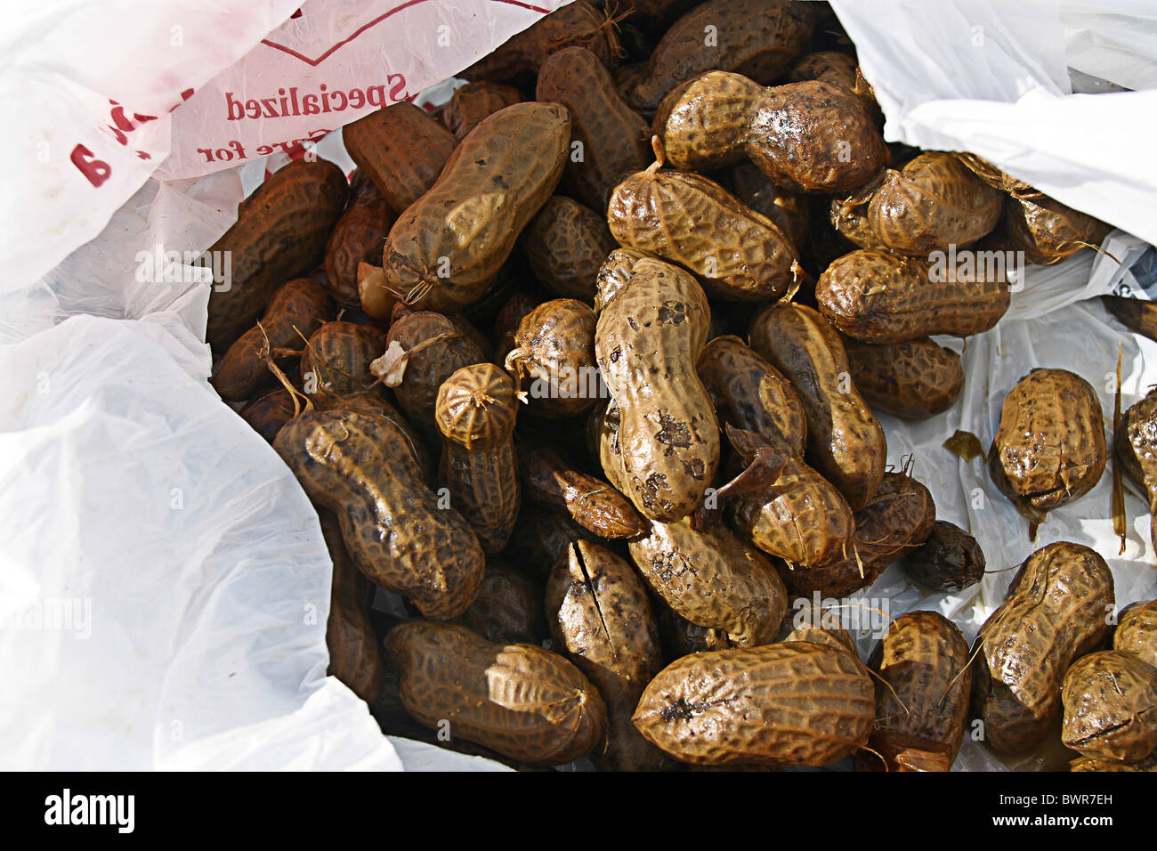 Boiled peanuts at roadside stand in Plant City, Florida