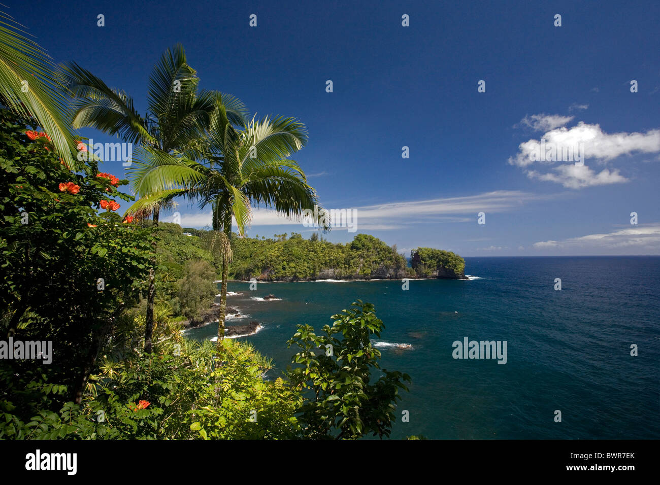 Island Island