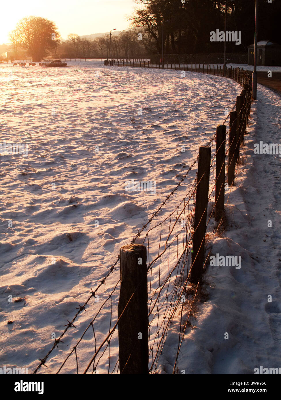 snowy field and fence in ,ow winter sun Stock Photo - Alamy