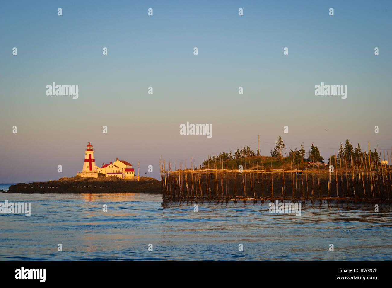 campobello lighthouse; east quoddy lighthouse; bay of fundy; marine