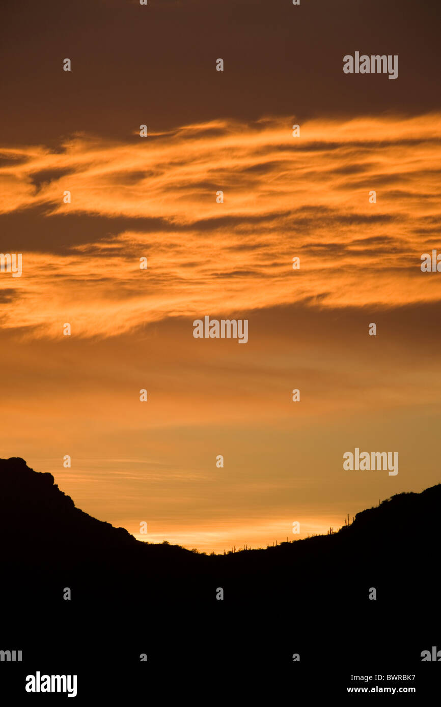 Sunset in Sonoran Desert of Arizona Stock Photo - Alamy
